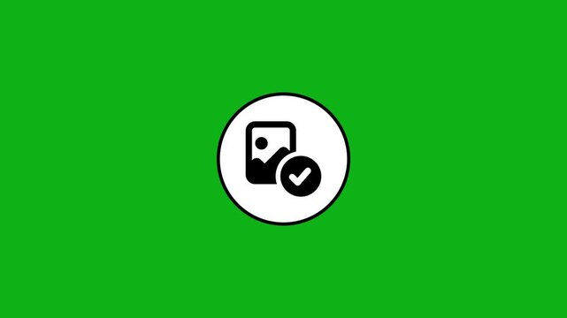 Photo check mark animation on green screen background, chroma key, graphic source, image icon motion