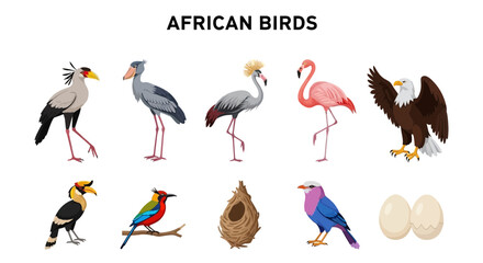 Ten illustrations of African birds a nest and eggs on a white background © zyaa