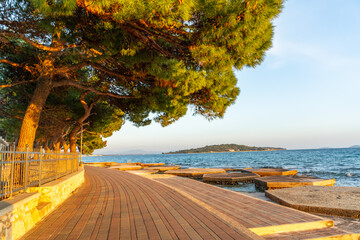 Coastal promenade with pine trees and sea view during sunset, featuring a clean pedestrian path. This visual highlights healthy lifestyle, coastal living, and travel inspiration © TatiG