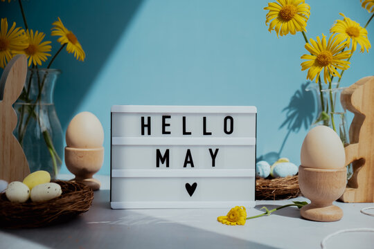 Phrase HELLO MAY traditional greeting to christian holiday. Festive mood composition with bunnies and yellow flowers on pastel blue background. Sustainable natural materials decorations