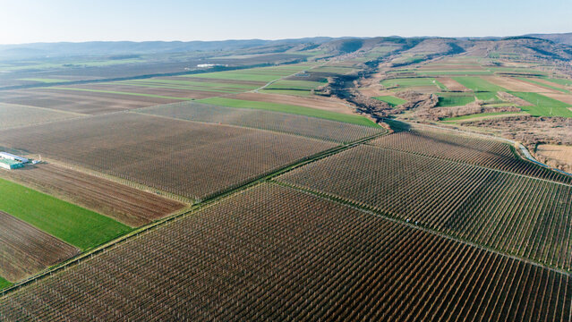 Aerial view of geometric fields create a tapestry of earthy browns and soft greens under a clear sky, Jazak, Vojvodina, Serbia.