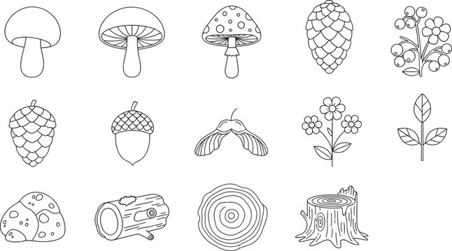 Forest nature outline icons set with mushrooms berries pinecone acorn leaves