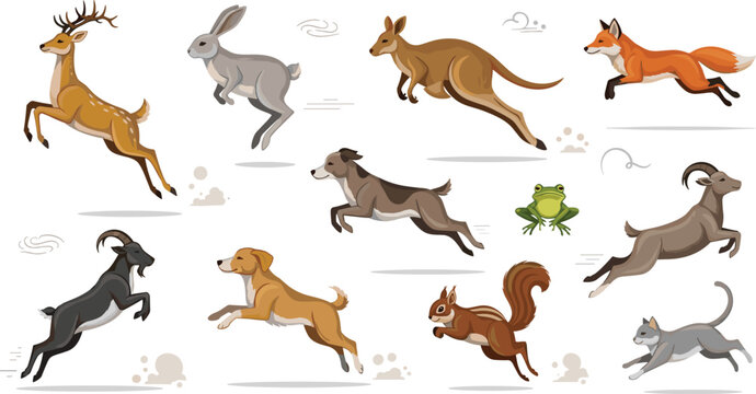 Jumping and Running Animals Vector Set Featuring Deer, Rabbit, Kangaroo, Fox, Dog, Goat, Frog, and Squirrel in Dynamic Motion Poses for Wildlife Illustration Projects.