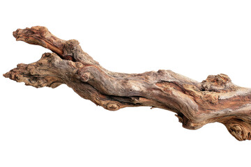 Fototapeta premium Gnarly weathered wood branch with textured surface against black background driftwood