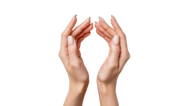 Isolated pair of female hands cupped together in a gesture of care and protection