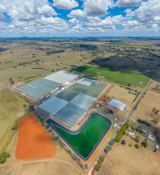 Aerial view of Tomato Farm in Guyra, New South Wales