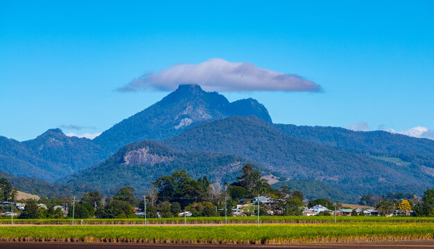 View of Wollumbin (Mount Warning) near Murwillumbah, northern New South Wales