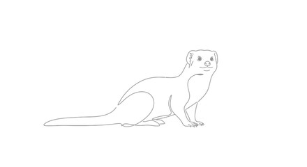 Obraz premium Minimalist line drawing of a weasel against a white background for design