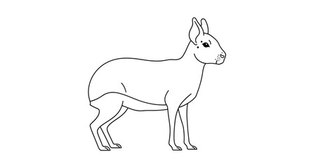 Fototapeta premium Outline illustration of a mara showing profile on a white background
