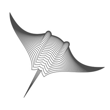 Stingray illustration created with flowing curved lines in a wireframe style. Minimalist marine animal silhouette with striped line structure. Environmental themes, ocean conservation visuals. Vector.