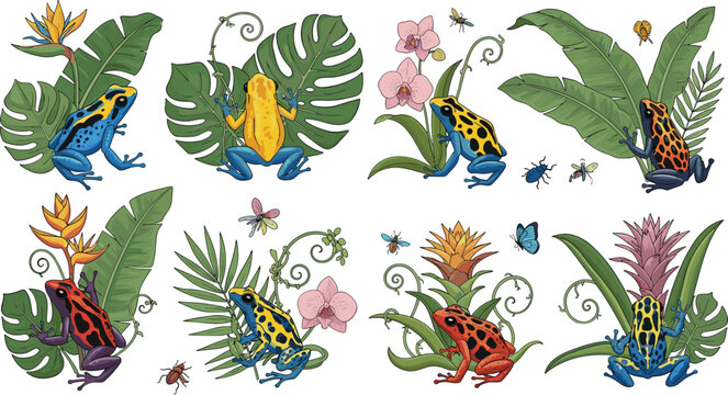 Colorful poison dart frogs with tropical leaves flowers insects jungle wildlife hand drawn vector illustration set