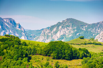 Naklejka premium beautiful countryside of romania. sunny forenoon. wonderful springtime landscape in mountains. grassy field and rolling hills. rural scenery with steep forested slopes. amazing carpathian highland