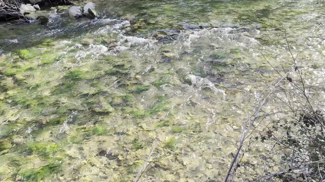 Ruscello d&rsquo;acqua cristallina che scorre tra rocce e muschio in un ambiente naturale incontaminato, atmosfera tranquilla e paesaggio boschivo
