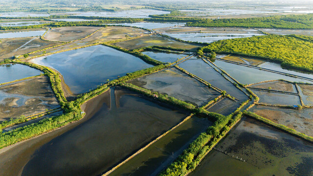 Aerial view of geometric aquaculture ponds reflecting the sky contrasting with the lush green vegetation, Barotac Nuevo, Western Visayas, Philippines.