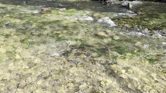 Ruscello d&rsquo;acqua cristallina che scorre tra rocce e muschio in un ambiente naturale incontaminato, atmosfera tranquilla e paesaggio boschivo