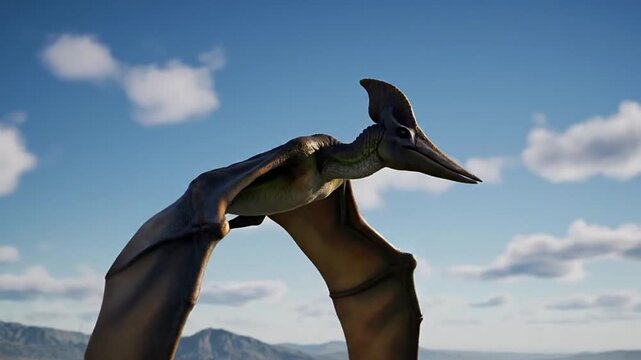 Dynamic 3D render of a Pteranodon, a large prehistoric flying reptile, soaring through a sunny sky. Ideal for educational content, documentaries, and visual effects exploring ancient wildlife and...