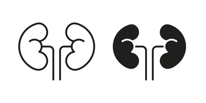 Kidney icon for mobile application, button and website design.