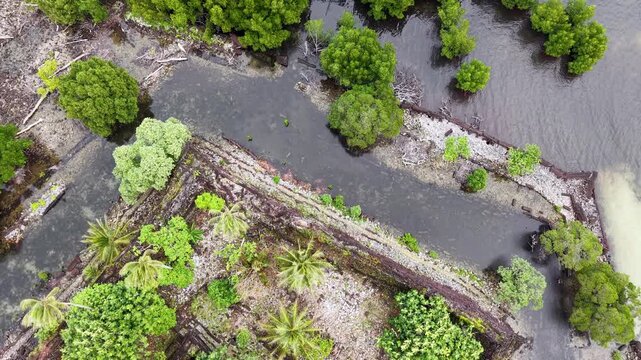Micronesia Pohnpei Nan Madol Ancient Ruins Lost City Oceania Pacific Aerial Drone 4K