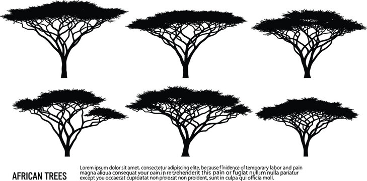 African acacia tree silhouette vector illustration set, savanna landscape elements, black umbrella tree icons isolated on white background, safari nature.