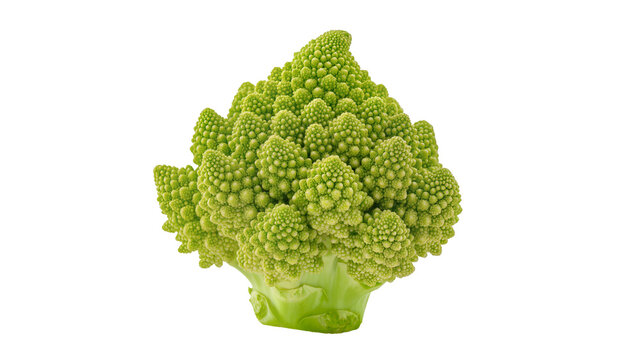 Isolated vibrant green Romanesco broccoli, a unique fractal organic vegetable