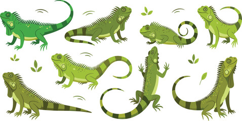Fototapeta premium Green Iguana Lizard Vector Set Featuring Various Poses, Tropical Reptile Behavior, and Detailed Cartoon Style for Wildlife Illustration, Education, and Design Projects.