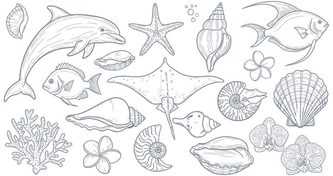 A whimsical collection of marine life and tropical flowers, perfect for summer-themed designs and seaside aesthetics