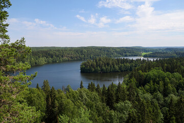 Obraz premium A panoramic bird's-eye view of a lush green forest and tranquil lake on a sunny summer day. The backdrop is tranquility, natural beauty, and the horizon