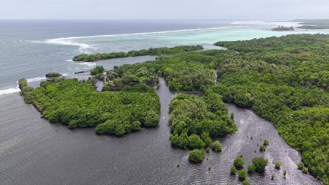 Micronesia Pohnpei Nan Madol Ancient Ruins Lost City Oceania Pacific Aerial Drone 4K