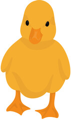 노란 아기 오리 