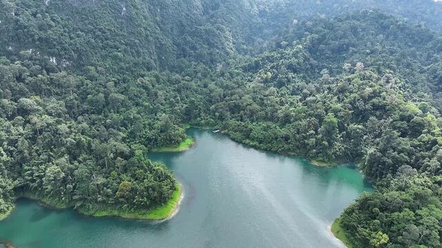 Aerial view of the serene lake surrounded by lush green rainforest, creating a vivid contrast of emerald and jade tones, Khao Sok, Surat Thani, Thailand.