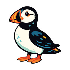 Fototapeta premium Atlantic puffin drawing for kids, cartoon style bird with striking multicolored bill and orange webbed feet isolated on white