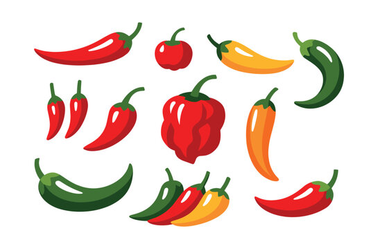 Chili pepper collection showcasing different types and heat levels, representing flavorful vegetables used in cooking and dishes