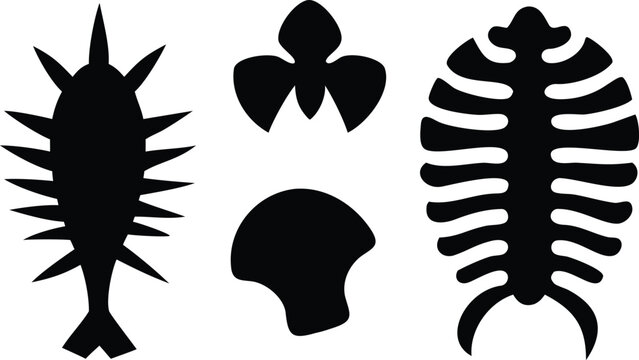 Black silhouettes of ancient fossils and sea creatures extinct