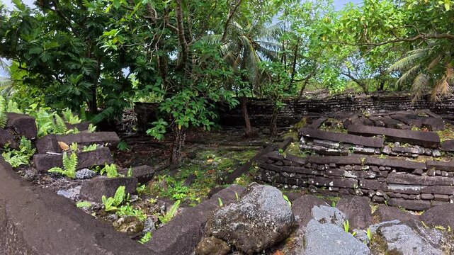 Micronesia Nan Madol Pohnpei Jungle Ancient Ruins Megalithic Lost City Oceania Pacific Camera 4K