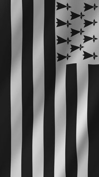 Vertical Brittany Flag Animation: 4K Breton Pride Celtic Region Motion Graphic