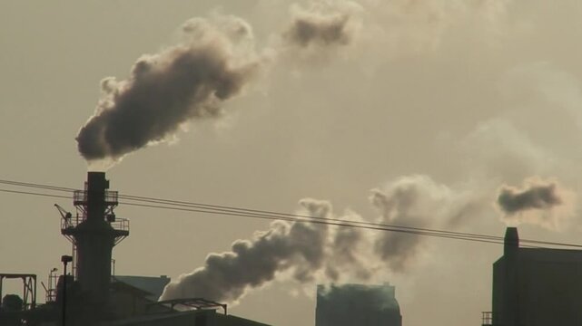 Air pollution Car emissions, chemicals from factories, dust, pollen in cities