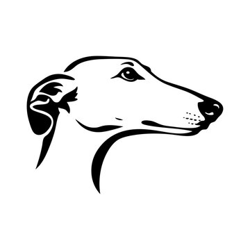 Logotipo tienda de mascotas. Dibujo sencillo con l&iacute;neas de la cabeza de un perro galgo visto de perfil
