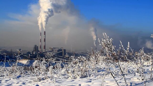 Air pollution Car emissions, chemicals from factories, dust, pollen in cities