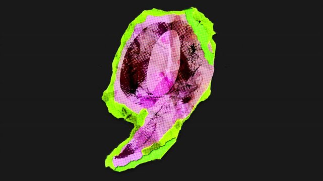 A drag and drop vibrant and brightly coloured number with alpha, in a torn creased up paper and card punk style that folds out in to place with worn aged effects and paper tears.
