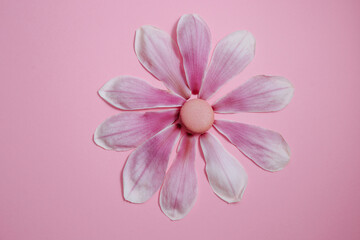 Obraz premium Pink Macaron Flower Made of Magnolia Petals on Pastel Background