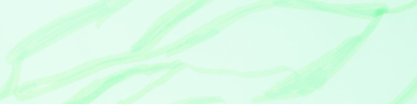 Zebra Skin Print. Sepia Print Strips. Modern