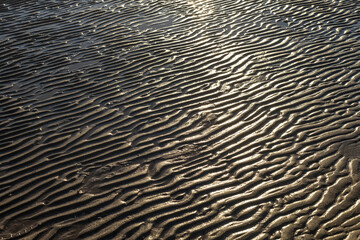 Rippled sand texture on beach created by sea waves at low tide. Golden sunlight reflecting on wet sandy surface in Antalya region during sunny day. Turkey. © Vlad Rakin