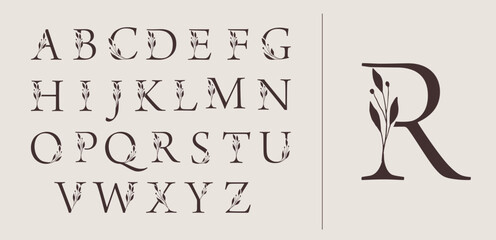 Plakat Botanical hand drawn alphabet letters collections for boutique logos and wedding monograms.