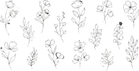 The image is a collection of delicate line drawings of various flowers and foliage. They are arranged in a somewhat random pattern, but generally in rows.