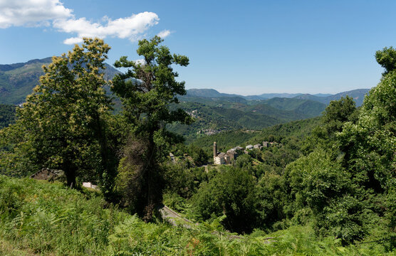 Frankreich - Korsika - Carpineto