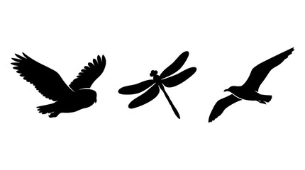 Fototapeta premium Silhouettes of three flying creatures against white background