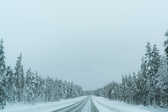 winter road in the forest