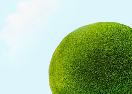 round green grass texture - well-groomed turf in the garden
