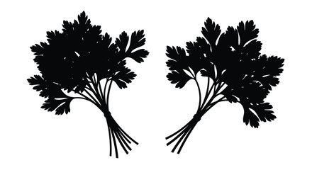 Two bunches of parsley displayed as a striking black silhouette © MALA