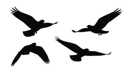 Four birds in flight depicted as a striking black silhouette © MALA